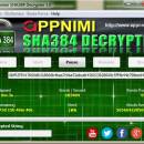 Appnimi SHA384 Decrypter screenshot