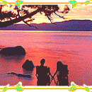 Couples enjoy the sunset with dolphins screenshot