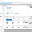 Zoho Invoice SSIS Components by Devart screenshot