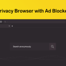 Kingpin Private Browser screenshot