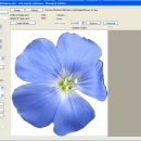 MosaicArtSoftware screenshot