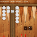 Backgammon Pro screenshot
