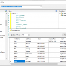 NetSuite SSIS Components by Devart screenshot