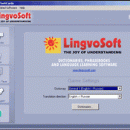 LingvoSoft FlashCards English <-> Russian for Windows screenshot
