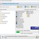 Files Recovery Software screenshot