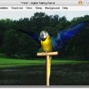AV Digital Talking Parrot screenshot