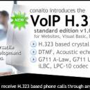 VoIP H.323 SDK for .NET and ActiveX screenshot
