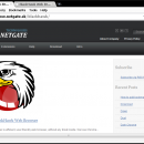 BlackHawk Web Browser screenshot