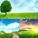 Happy Spring Animated Wallpaper screenshot