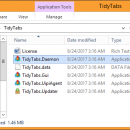 TidyTabs Portable screenshot