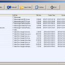 FMS Temp File Cleanup screenshot