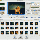 4Media Video Frame Capture for Mac screenshot