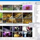 Video File Browser screenshot