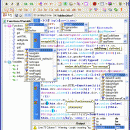 1st JavaScript Editor Pro 5.1 screenshot