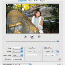 Cinematize Pro for Mac screenshot