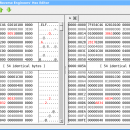 Reverse Engineers&#039; Hex Editor screenshot