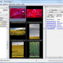 JPhotoTagger Portable screenshot