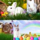 Easter Bunny Animated Wallpaper screenshot