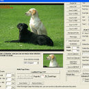 VISCOM TIFF Viewer ActiveX SDK screenshot