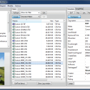 ExifTool GUI for Windows screenshot
