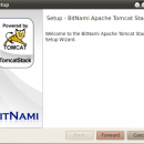 BitNami Tomcat Stack for Linux screenshot
