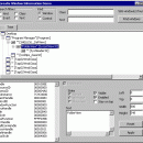 Window Information screenshot