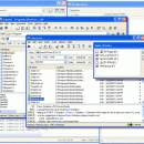 Raxso Enterprise screenshot