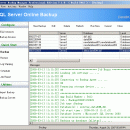 DataBK SQL Server Backup screenshot
