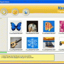 Nucleus Kernel Digital Media Recovery Software screenshot