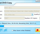 Ideal DVD Copy screenshot