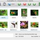 Flickr Gallery for Mac OS screenshot