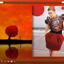 Flash Book Templates for Red Style screenshot