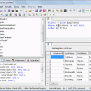 DTM SQL editor screenshot
