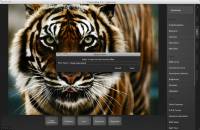 CameraBag for Mac OS X screenshot