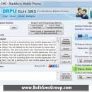 BlackBerry Bulk SMS Software screenshot