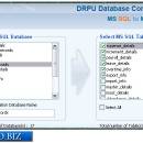 Microsoft SQL Database Migration Program screenshot