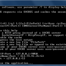 DNS2SOCKS screenshot