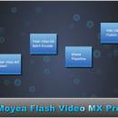Moyea Flash Video MX Pro screenshot