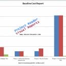 ProjectViewerReport Baseline Cost Report screenshot