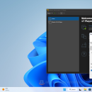 VMware Player for Linux screenshot