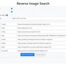 Reverse Image Search for Chrome screenshot