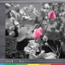 ColorPop pro screenshot